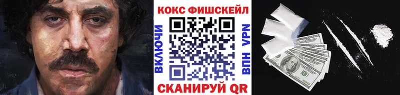 мега ссылки  где купить наркоту  Нолинск  COCAIN Fish Scale 