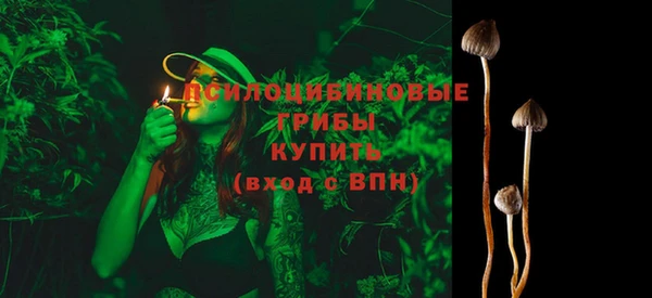 прущие грибы Алзамай