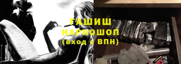 прущие грибы Алзамай