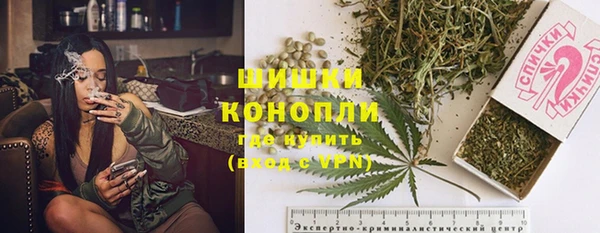прущие грибы Алзамай